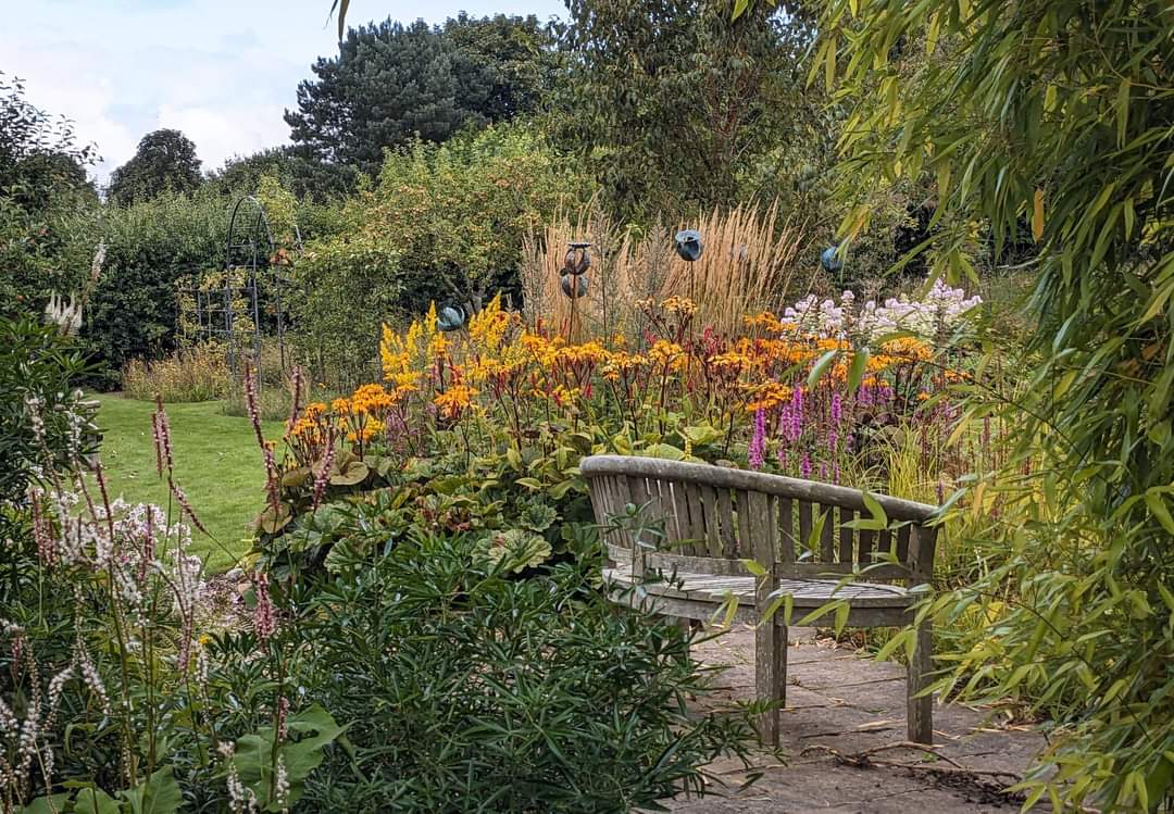 A definate hint of autumn at Bluebell. Open Weds-Sat 10am-5pm. 

@VisitCheshire
#Cheshire #GardeningX
#gardening #plantnursery