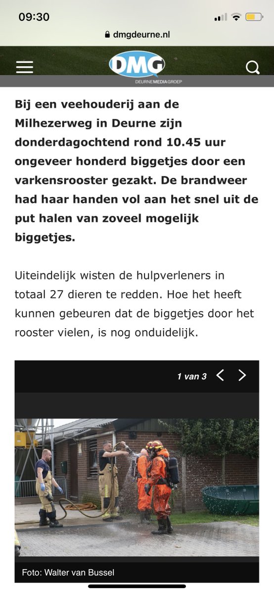 100 biggetjes zakken door rooster, 73 verdrinken in hun eigen mest. Ze konden geen kant op. Ze waren niet bij hun moeder. Laten we toch kappen met deze zieke walgelijke industrie. Het zijn gevoelige intelligente dieren. Alleen al hierom! Nog los van stikstof, fijnstof, CO2 enz.