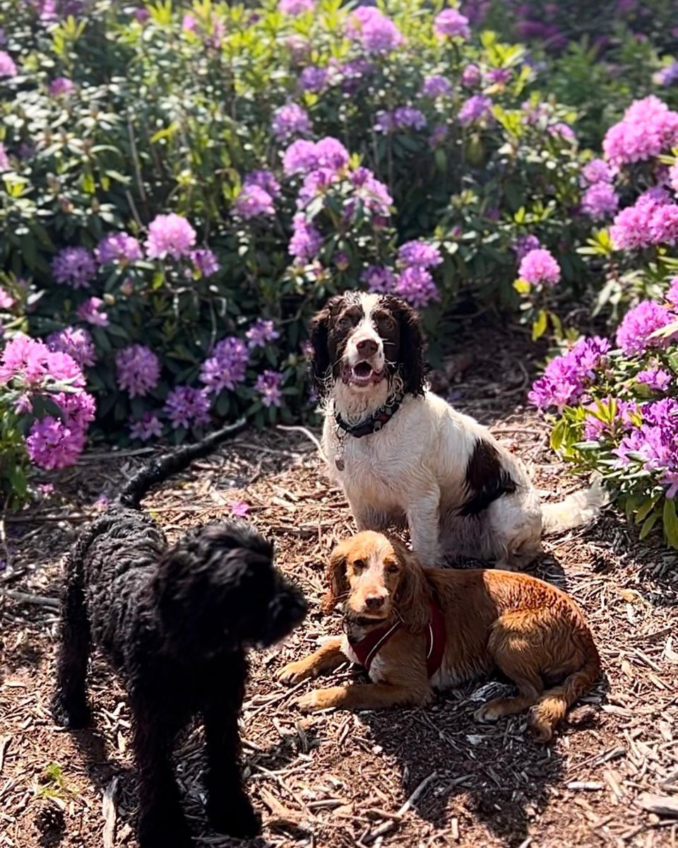 Visit Midhurst tweet media