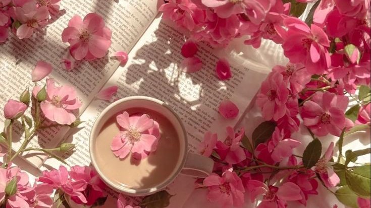 rae ᵕ̈ tweet media