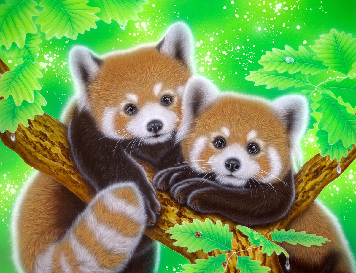 kentaro_art's tweet photo. "Good Friend" #Redpandas Orginal
「なかよし」#レッサーパンダ 原画
大きめのキャンバスに愛らしい表情を描いています。
9月の神奈川、大阪で開催の #ジャパンアートエキスポ に出品します。
【主催】 #アールビバン 株式会社
#saveredpandas #savepandas #kentaronishino #画家 #西野健太郎 https://t.co/lH8oS85P2K