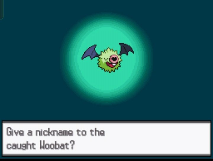 okeitokei's tweet photo. Random shiny woobat on my professor oak challenge 😭 https://t.co/HsbDoxz4kK