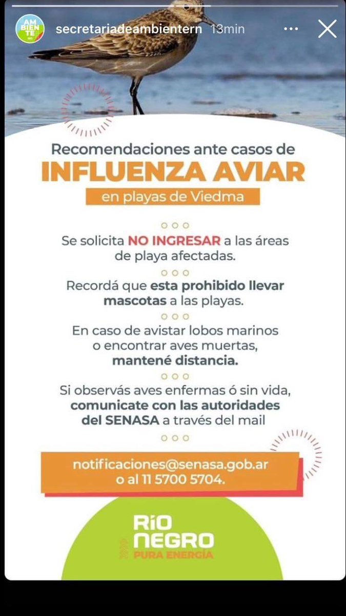 Dina Lina Migani (@dinalinamigani) on Twitter photo 