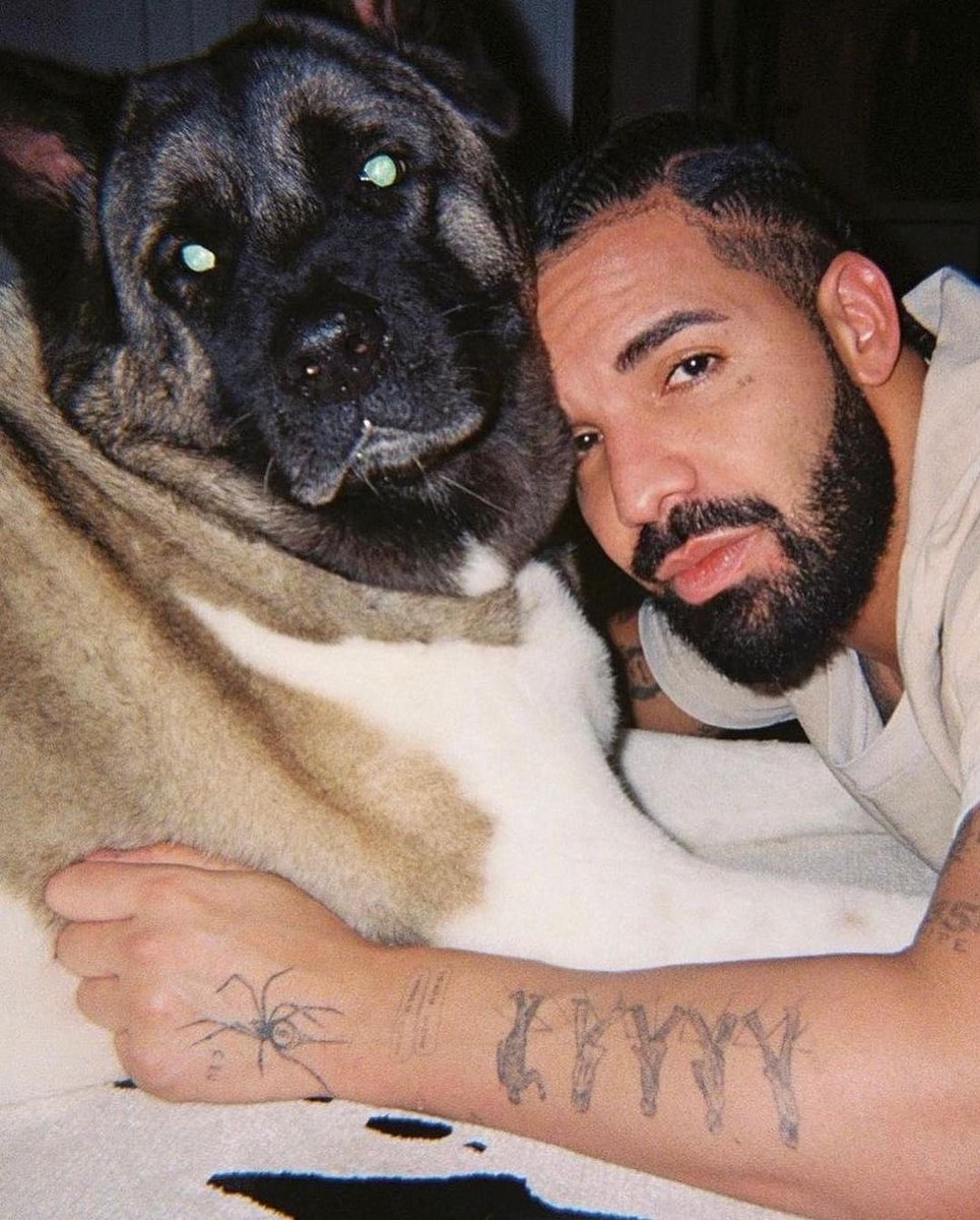 Complex Music tweet media