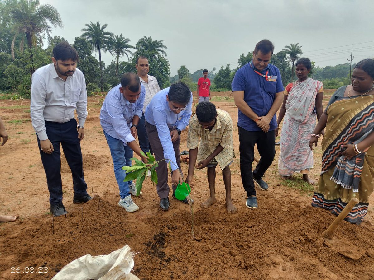 DDC DUMKA tweet media