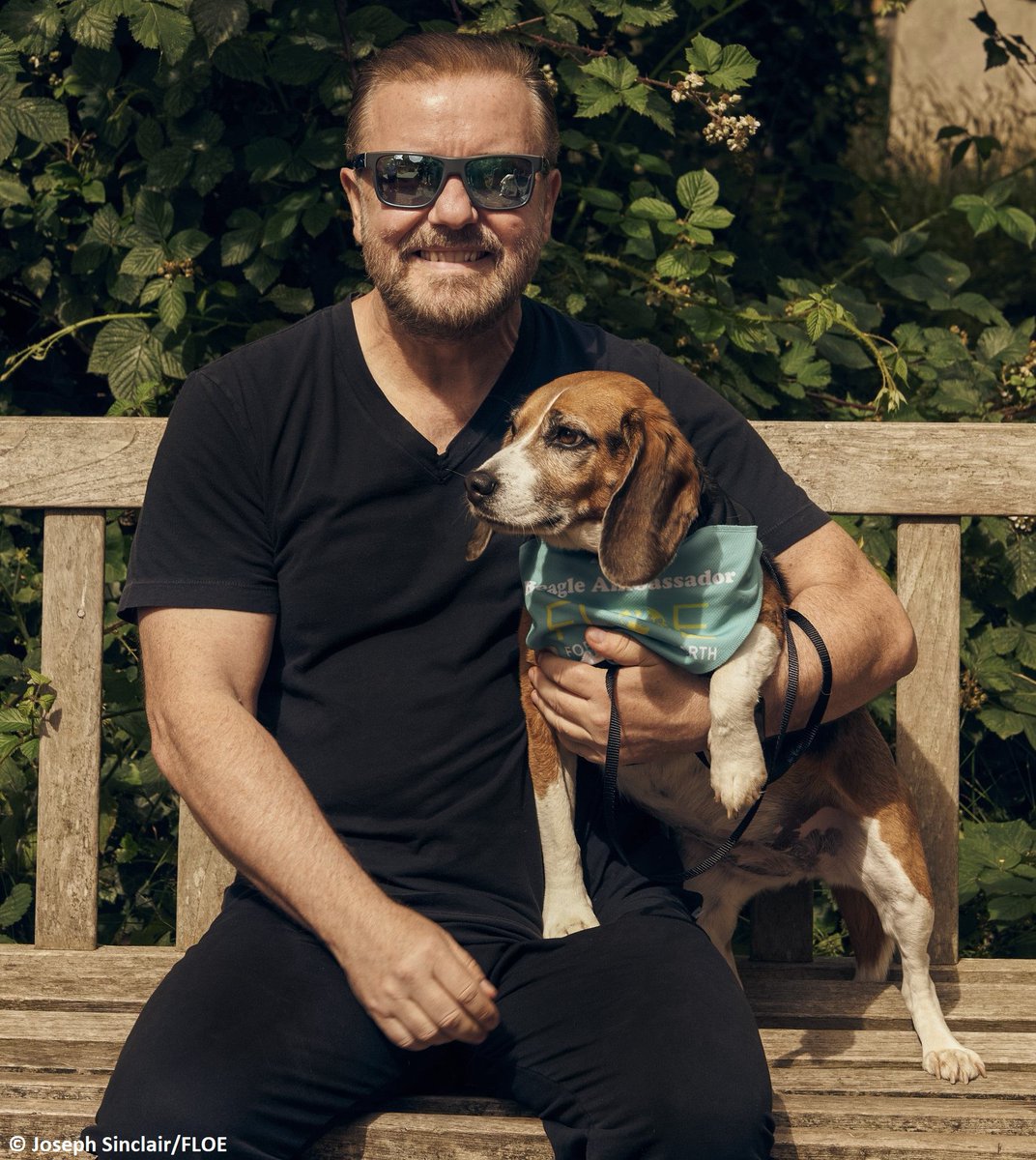 “Happy #InternationalDogDay!” woofs rescued laboratory dog <a href="/BetsyAmbassador/">Betsy, Beagle Ambassador for FLOE</a>. “Please RT to help me thank my amazing hero <a href="/rickygervais/">Ricky Gervais</a> for all his love &amp; support for us dogs, especially my campaign to #EndAnimalTesting, wooooof!”

#DogsAreFamily ❤️

✍️🐾 operationbeagle.org