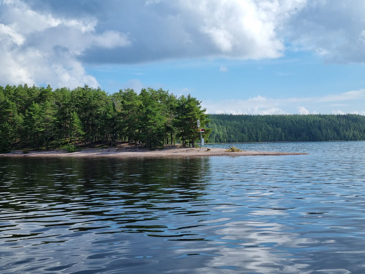Tänään vietetään Suomen luonnon päivää. Itselleni se on tärkeä henkireikä elämässä 🙂🌿 Luonnossa ollessa rentoutuu parhaiten. #SuomenLuonnonPäivä
