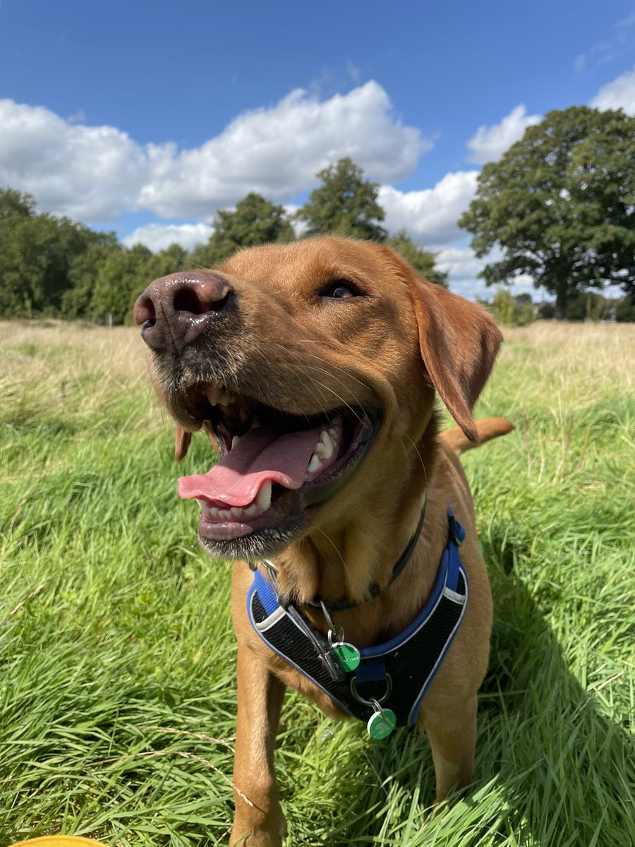 Victoria tweet media