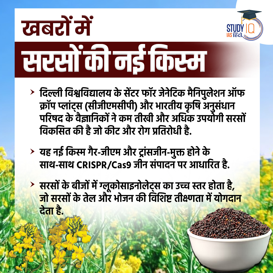 upsciq's tweet photo. New Mustard Variety
#currentaffairs #mustured #gm #gmcrop #newvarity #geneticallymodified #currentaffaris #upsc #ias #ips #pre2024 #upscpre https://t.co/9asaftil3X