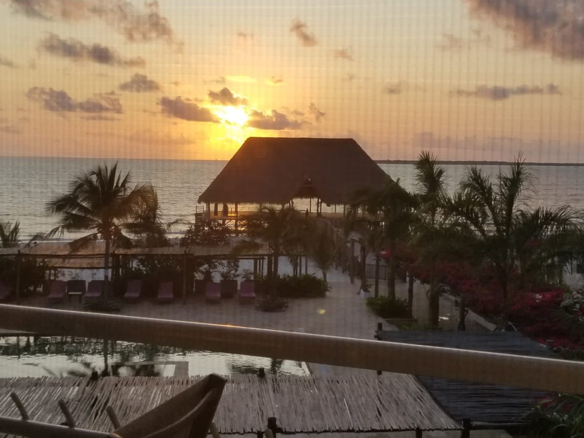 BunduRovers's tweet photo. Good morning….. How’s your view this morning? #Bundurovers #Pointandgo https://t.co/cvRKR89xpR