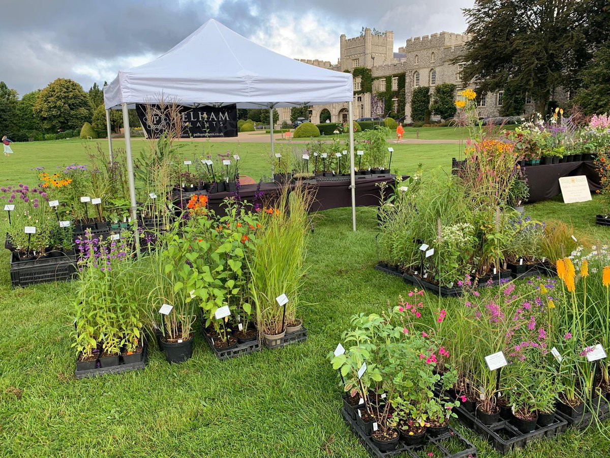 All set up and ready to go!! 👏 @westdeangardens Perennial Day & Plant Fair today! Excited to be at a new plant fair venue! #westdeangardens #sussexgardens #gardensofsussex #plantfair #indpendentplantnurseries #gardens #gardeners #pelhamplants #pelhamplantsnursery