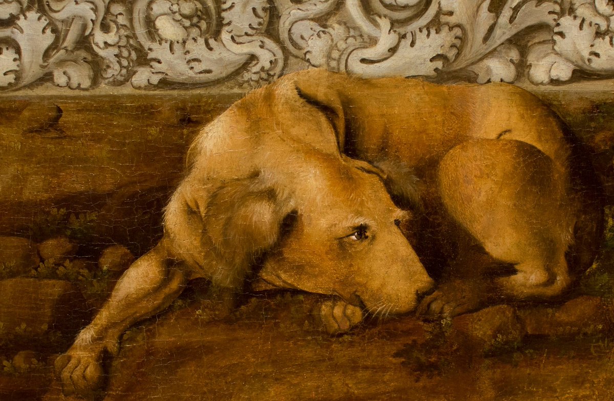 Capodimonte_mus's tweet photo. #oggi si festeggia la giornata internazionale del 🐶 #cane 
Vieni ad ammirarlo nelle opere del Museo e Real Bosco di Capodimonte o porta il tuo amico a quattro zampe in una delle due aree cani nel bosco per lasciarlo libero di correre e giocare https://t.co/rF390rdn1D