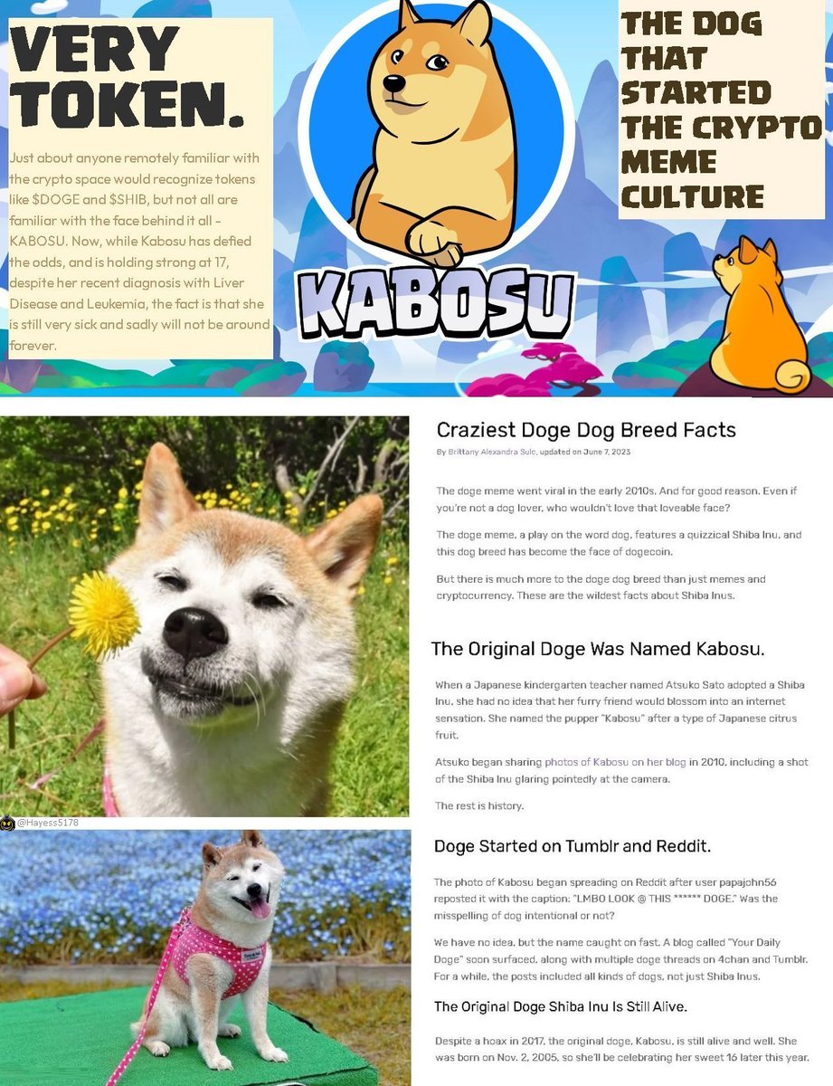 Before there was $Doge, there was $Kabosu 🐶. #Dogecoin was inspired by a  real life dog called #KABOSU. Her owner (kabosu mama) updates her blog for  fans often 🔗https://t.co/pQeScMSLEN😃. The next big