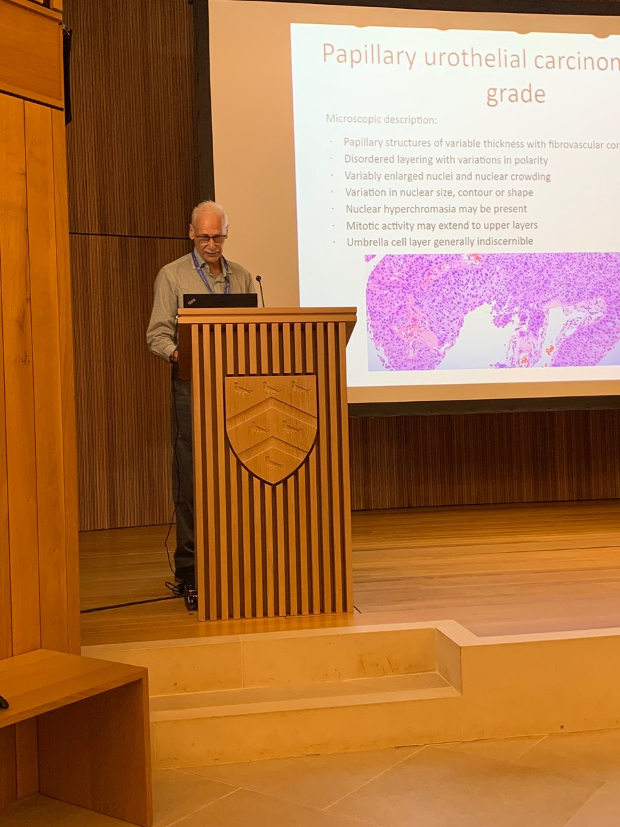 Runjan Chetty tweet media