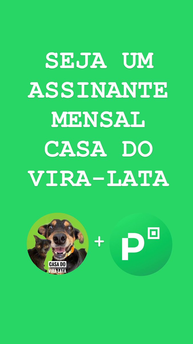 Casa do Vira-lata tweet media