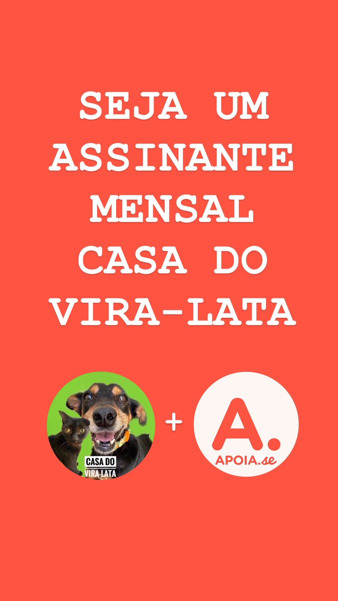 Casa do Vira-lata tweet media