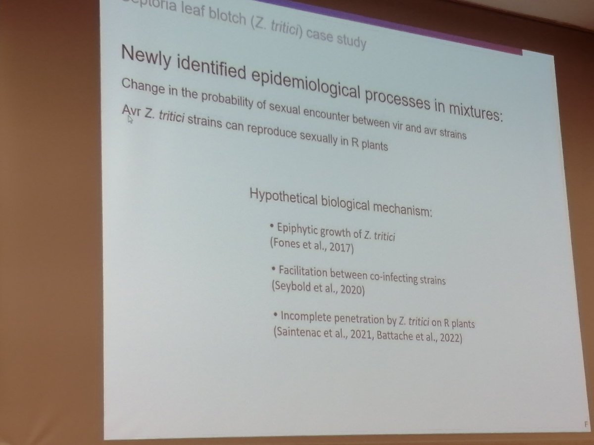 MikabAley's tweet photo. Fascinating team presentation by Frederic Suffert @wheatpath &amp; Elisabeth Fournier @INRAE_France on epidemiological &amp; evolutionary pathogen dynamics in cultivar mixtures in #wheat &amp; #rice spanning short to long timescales #ICPP2023 https://t.co/SMPEfmYs06