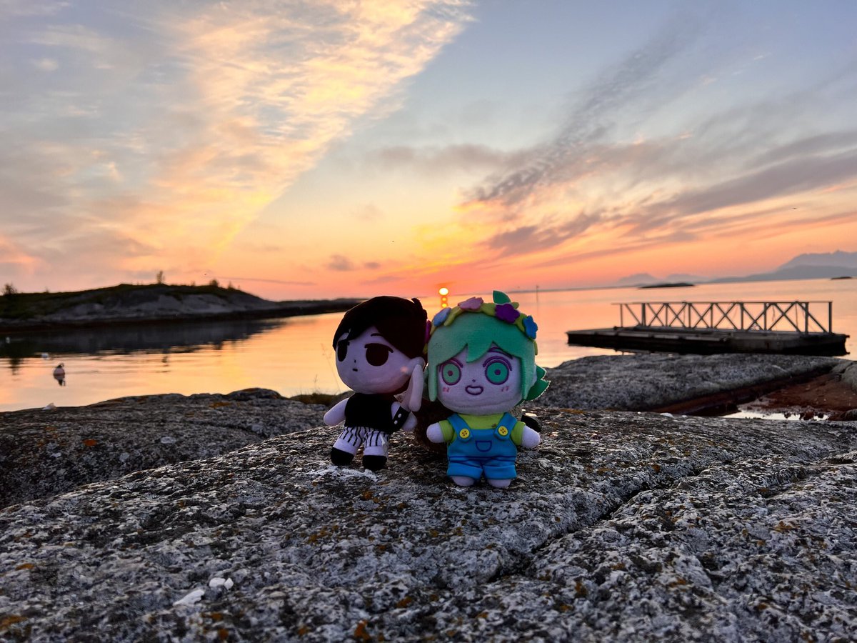 Basil_is_adorbs's tweet photo. After Midnight
Sunflower summer sunset 🌅
.
#sunflower #sunfloweromori #omoribasil #omoriplushies #omorimerch #omorisunflower #omoriplushie #basilomori https://t.co/eqop7m5zYu