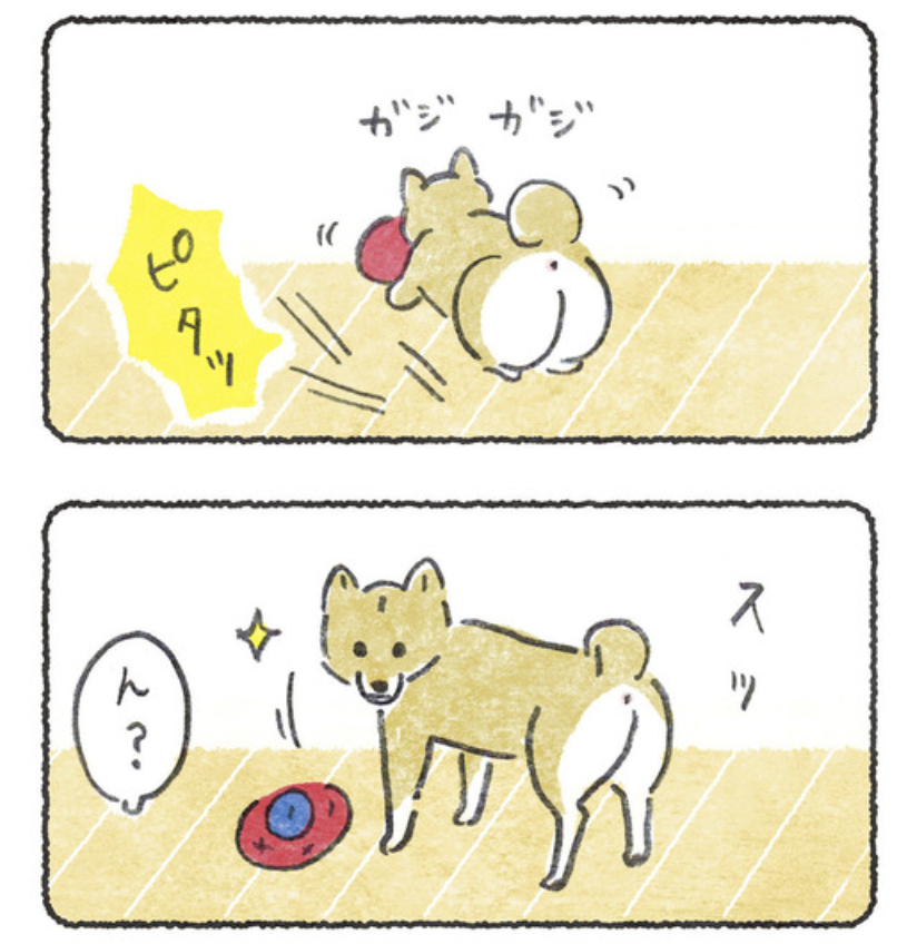 知育おもちゃ2日で終わった
https://t.co/g9inb2wwyK 