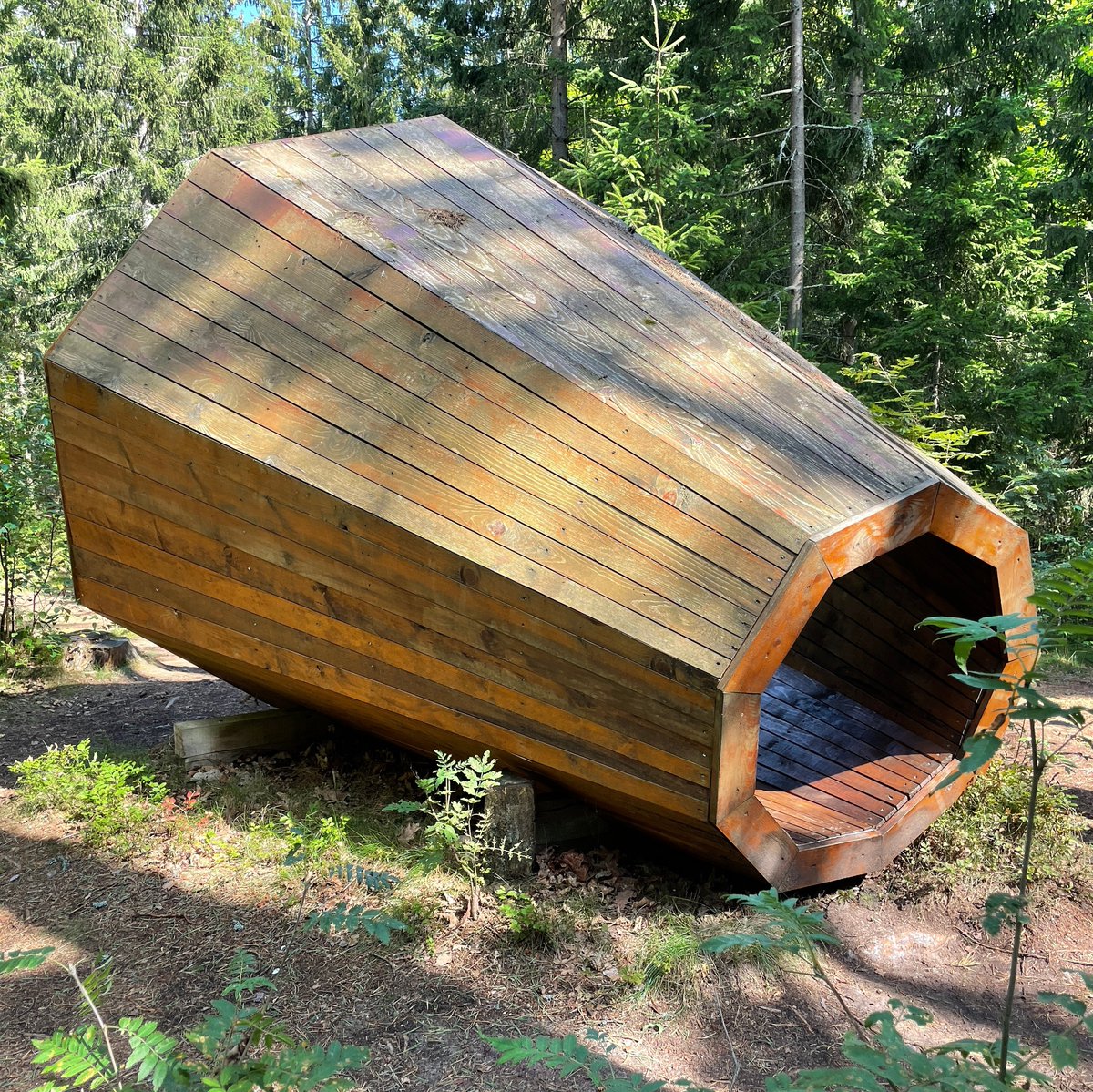 millhopemusic's tweet photo. Forest gramophone on the Curonian Spit/Lithuania. Sound follows in one of the next posts.  

#lithuania #curonianspit #kurischenehrung #grammophon #outdoor #forest https://t.co/4hqA2Je64J