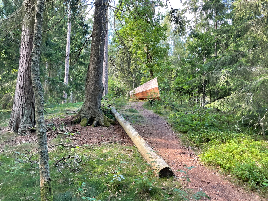 millhopemusic's tweet photo. Forest gramophone on the Curonian Spit/Lithuania. Sound follows in one of the next posts.  

#lithuania #curonianspit #kurischenehrung #grammophon #outdoor #forest https://t.co/4hqA2Je64J