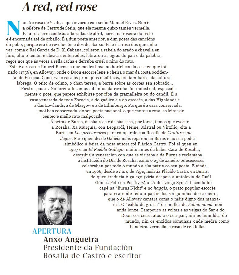 pilaraymara's tweet photo. Que fermosura! 😍
'A red, red rose' de Anxo Angueira, Presidente da @CasadeRosalia https://t.co/hQ0g2bQt9R