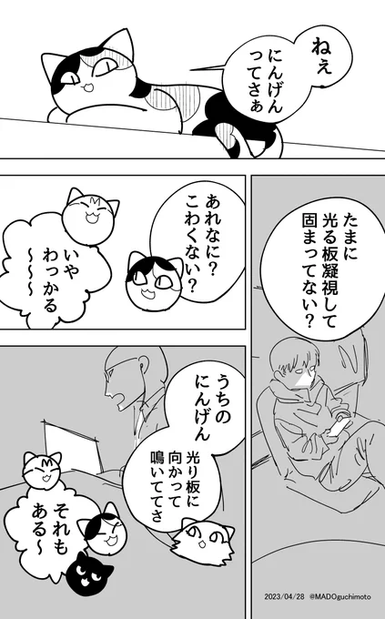 ねこの疑問
(1/2) 