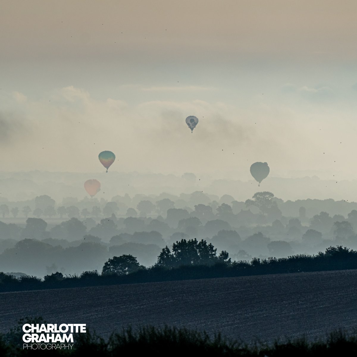 MadCowFudge's tweet image. #MistyMorning #Earlystart and up with the #Larks and #Balloons #CastleHoward #BalloonFiesta #Mornings #Light #360 #Yorkshire #HowardianHills #Weather #Flights #Balloons