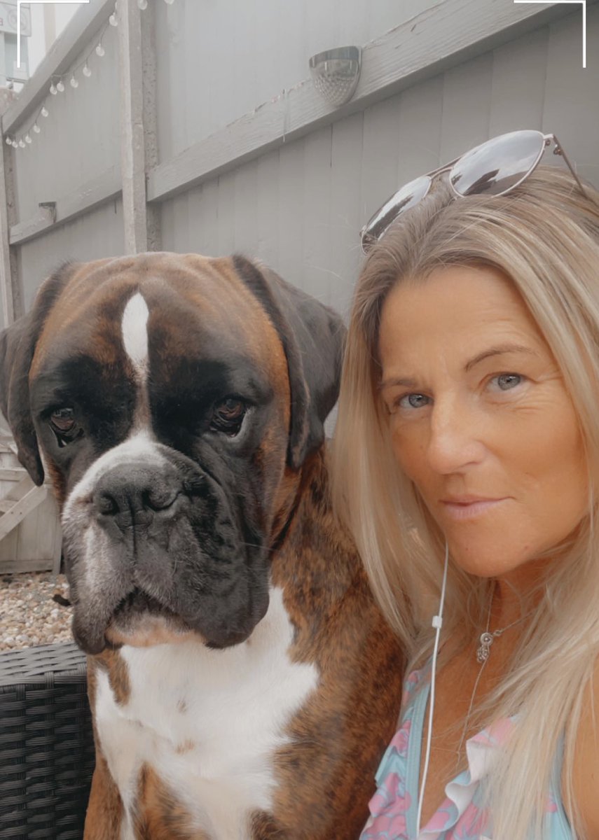 newundertaking's tweet photo. People often refer to us as angels here at A Natural Undertaking, but we think there's nothing more angelic than our four legged team members 🐶 - as it's #InternationalDogDay we thought we'd share some pics with you - feel free to send us yours! 

#dogsoftwitter #dogday https://t.co/YSGa8ViVDp