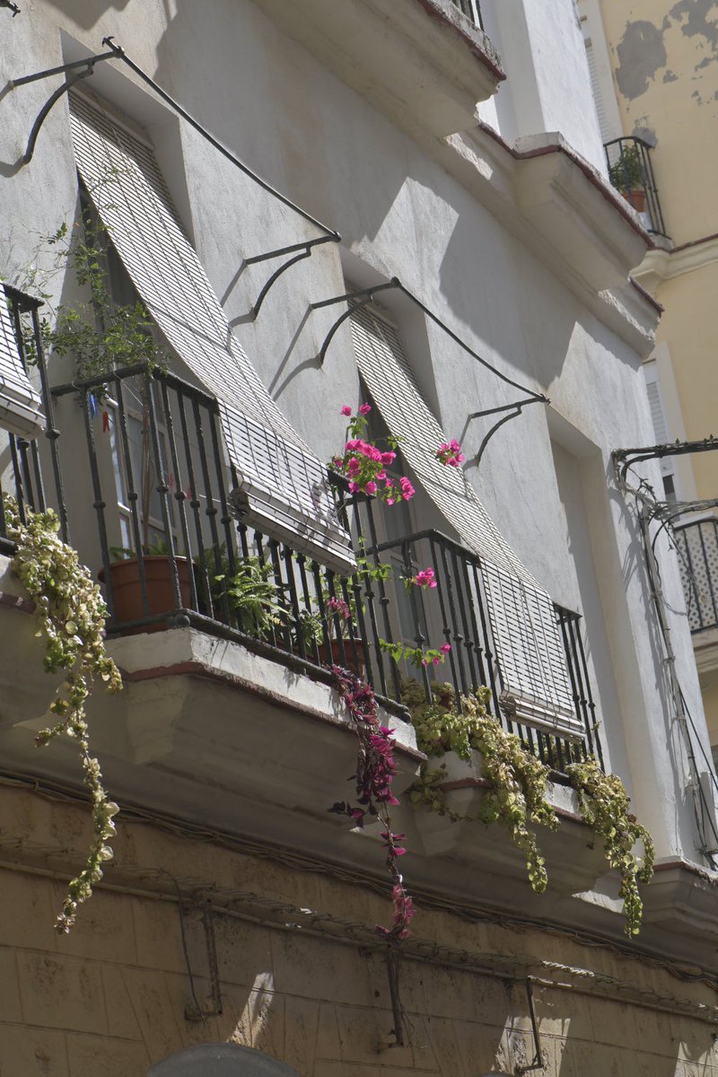 “Cádiz, a white jewel of history, with streets that whisper legends and charm at every turn. A city where every corner tells a story. 🌟 #Cádiz #History #UrbanCharm”