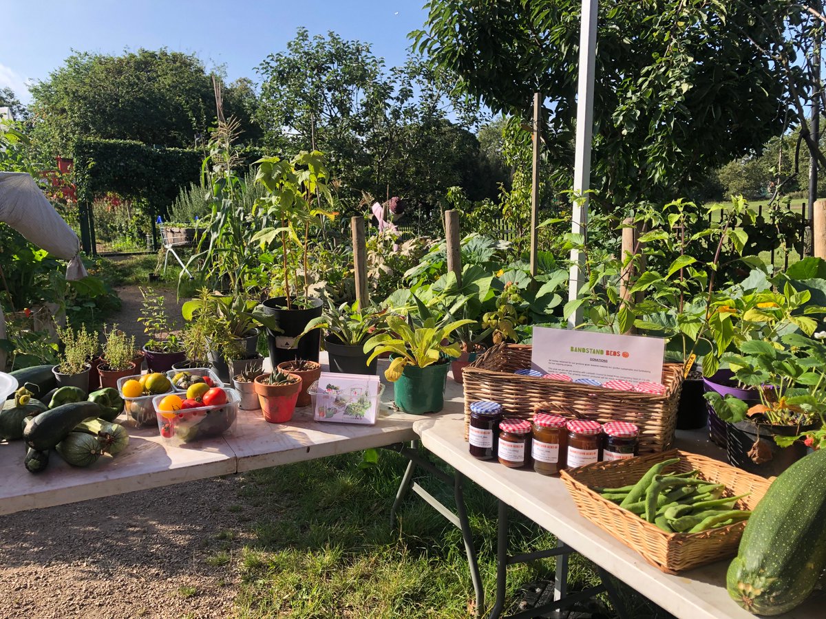 BandstandBeds's tweet photo. Good morning from Bandstand Beds! 🥬

A range of produce, chutneys and jams are available for a donation on our stall. Come down and say hello! https://t.co/aUinTNuSyr