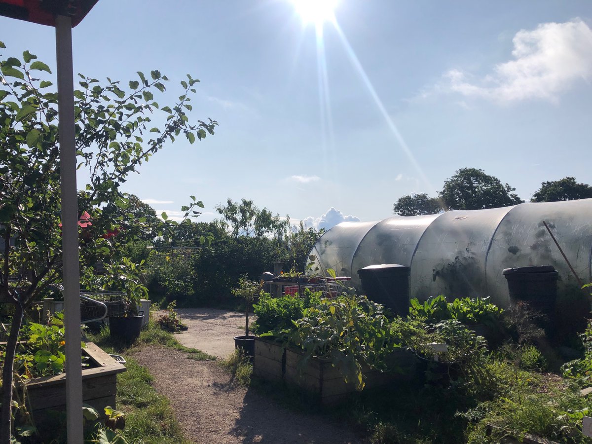 BandstandBeds's tweet photo. Good morning from Bandstand Beds! 🥬

A range of produce, chutneys and jams are available for a donation on our stall. Come down and say hello! https://t.co/aUinTNuSyr