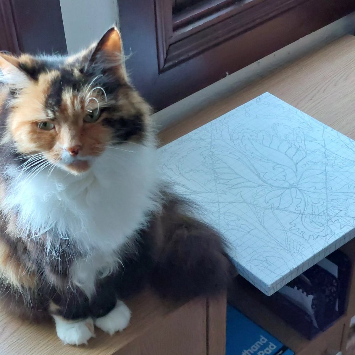 Gatekeeper Art tweet media