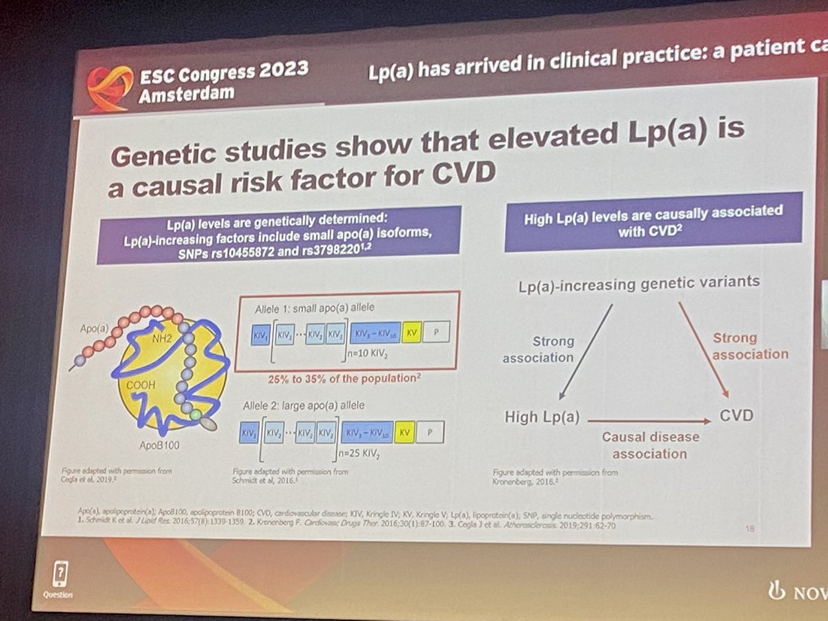 miriamsandin's tweet photo. 🟡Lp(a):
✔️Está determinada genéticamente en >90% de los casos
✔️No solo es un FR causal de ECV, es un potente FR de ECV mayores, e influye en el fenotipo de la placa de ateroma en las arterias coronarias como se demuestra en en los estudios con OCT.

#ESCCongress @riesgo_SEC https://t.co/gujSfXWdXx