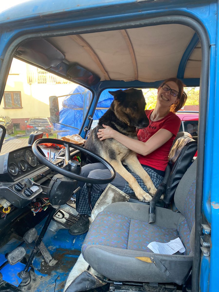 KKutacova's tweet photo. K mezinarodnimu dni psu, nas pes Aviaticky. Ochotne pomaha s prestavbou na obytnak, zvlast, pokud to znamena, ze si muze lehnout na neco mekkeho a rict si o podrbani. ❤️ (A jo, potrebujem vetsi auto, Avia je ji mala :D ) #aviou #pesaviatik #mezinarodnidenpsu #nemeckyovcak https://t.co/qmFsEteaN8