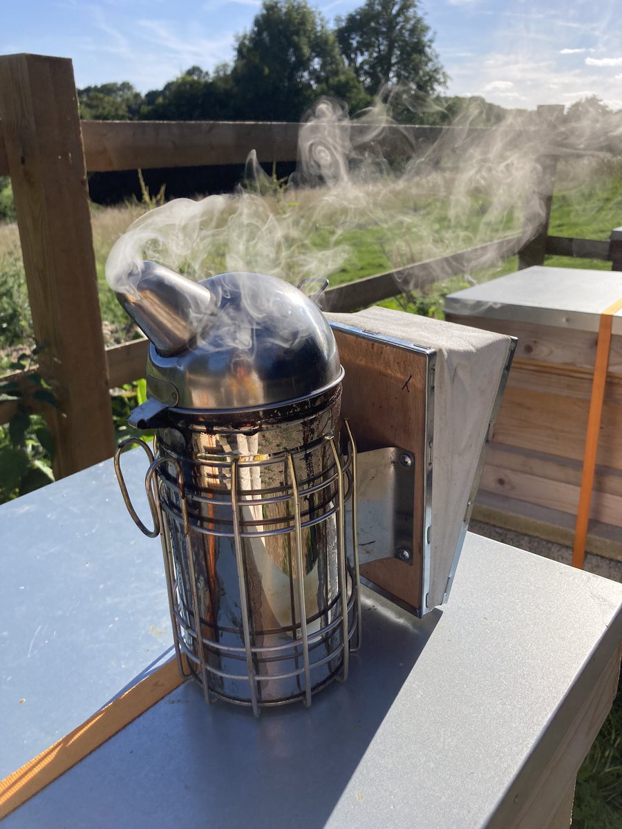 This week at the apiary. 
Now the honey has been removed we have added a treatment for varroa and also given them some syrup to top it their food supply.