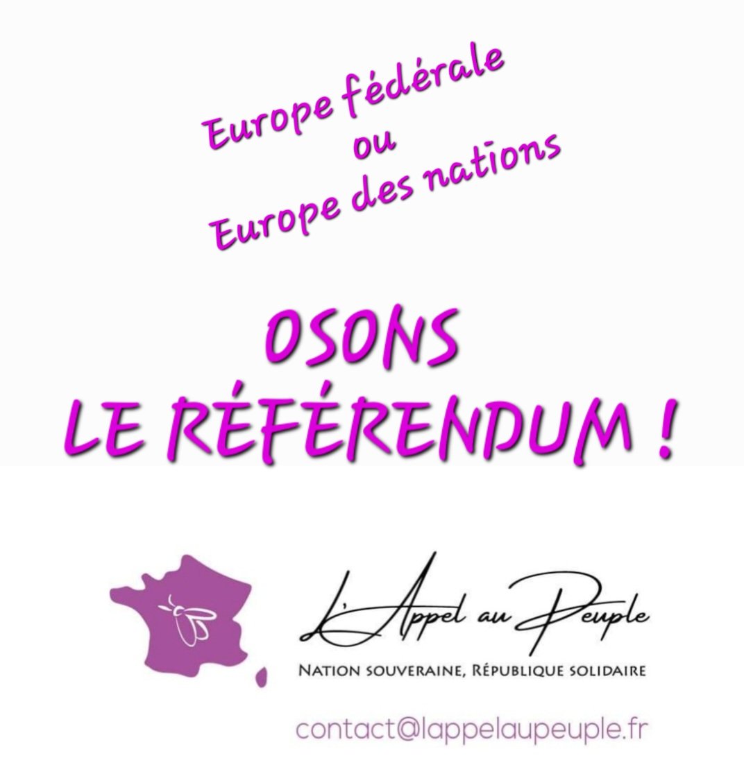 Le président @EmmanuelMacron nous parle de #Referendum. Chiche ! @ReferendumUE
