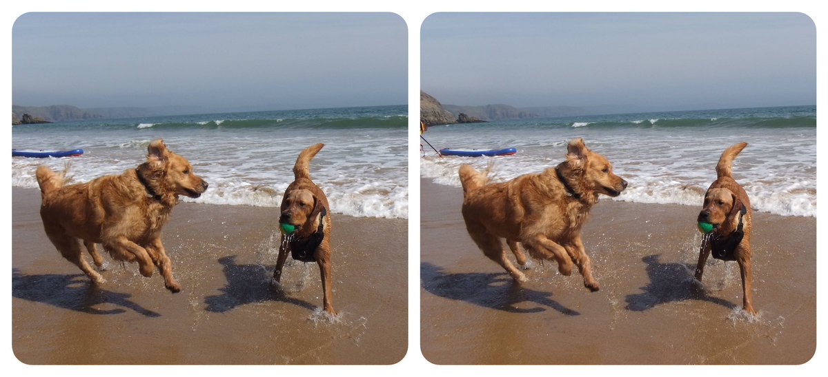StereoSimian's tweet photo. @WelshGovernment Here are three #stereoscopic #3D photos of places in Wales @DoggoPunky loves! 

The 4th pic describes a freeviewing technique to see the photos in 3D.

1 - playing with a friend at Barafundle Bay
2 - enjoying a run along the @WalesCoastPath 
3 - splashing about in Rhymney River https://t.co/yOA6oJGdwL