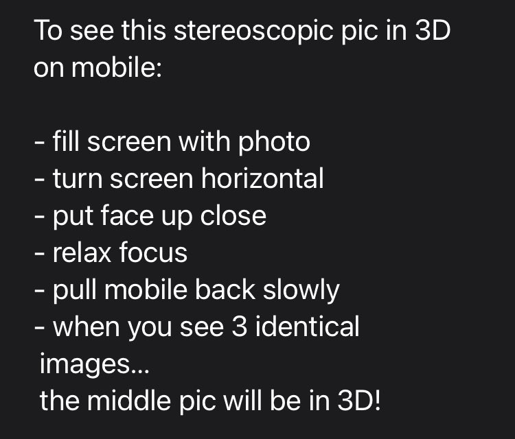 StereoSimian's tweet photo. @WelshGovernment Here are three #stereoscopic #3D photos of places in Wales @DoggoPunky loves! 

The 4th pic describes a freeviewing technique to see the photos in 3D.

1 - playing with a friend at Barafundle Bay
2 - enjoying a run along the @WalesCoastPath 
3 - splashing about in Rhymney River https://t.co/yOA6oJGdwL