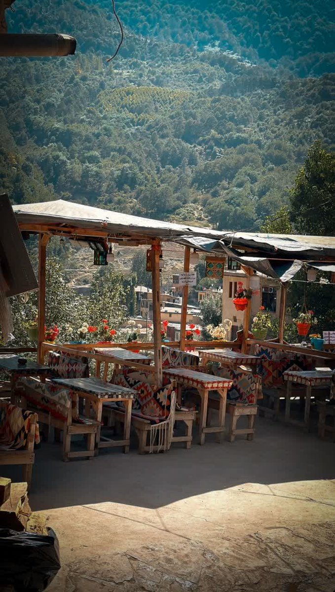 شکوفه tweet media