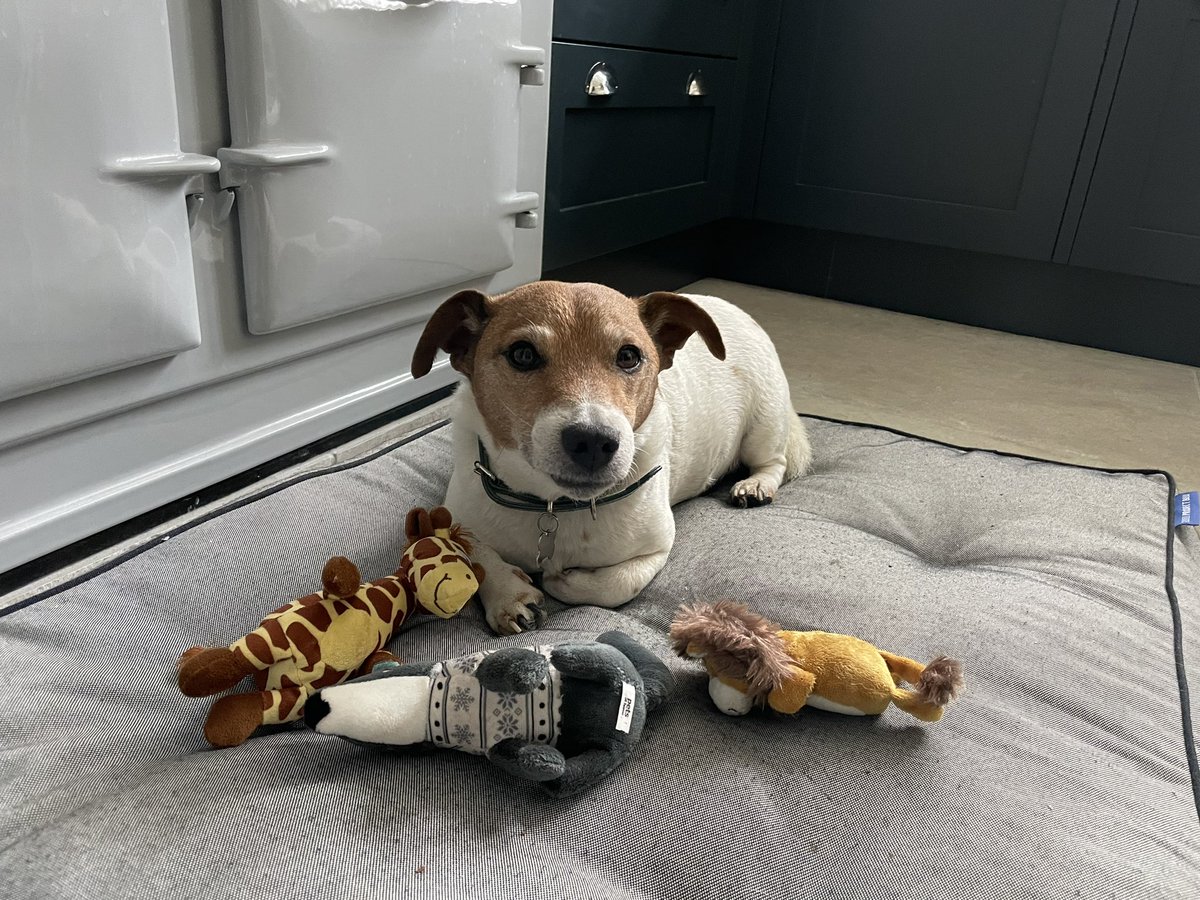 Claire Rowles tweet media