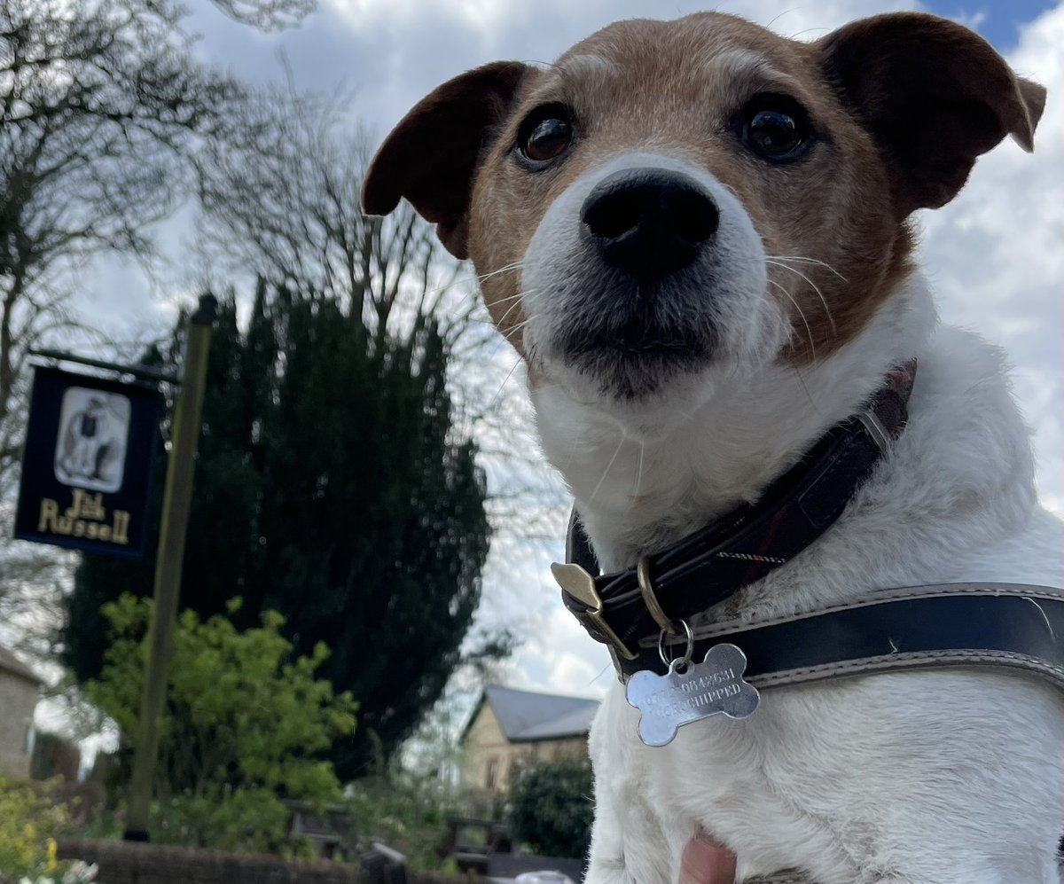 Claire Rowles tweet media