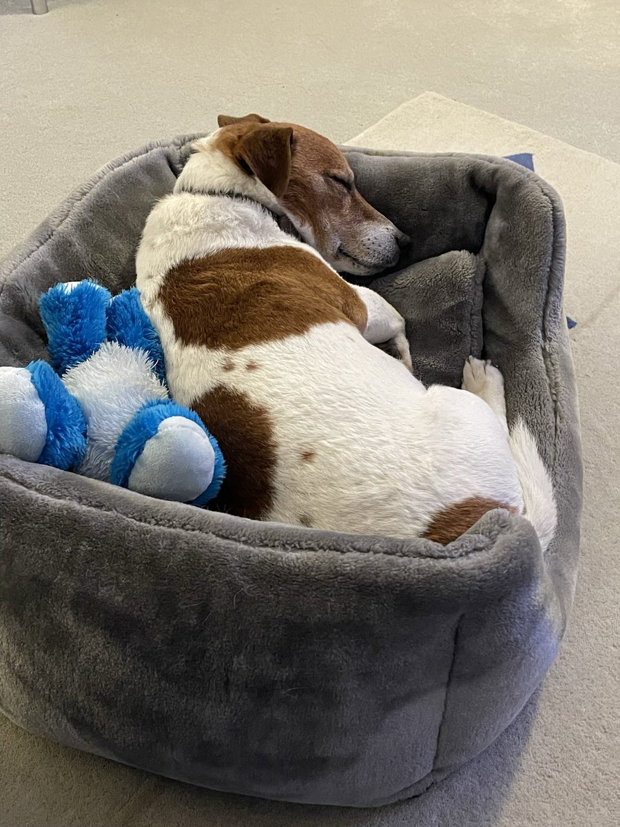 Claire Rowles tweet media