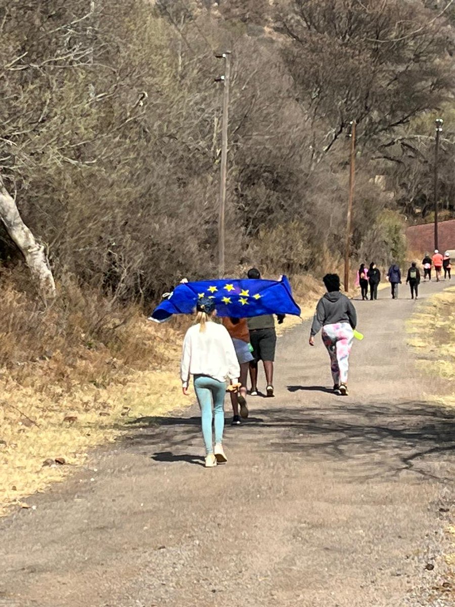EU in SA tweet media