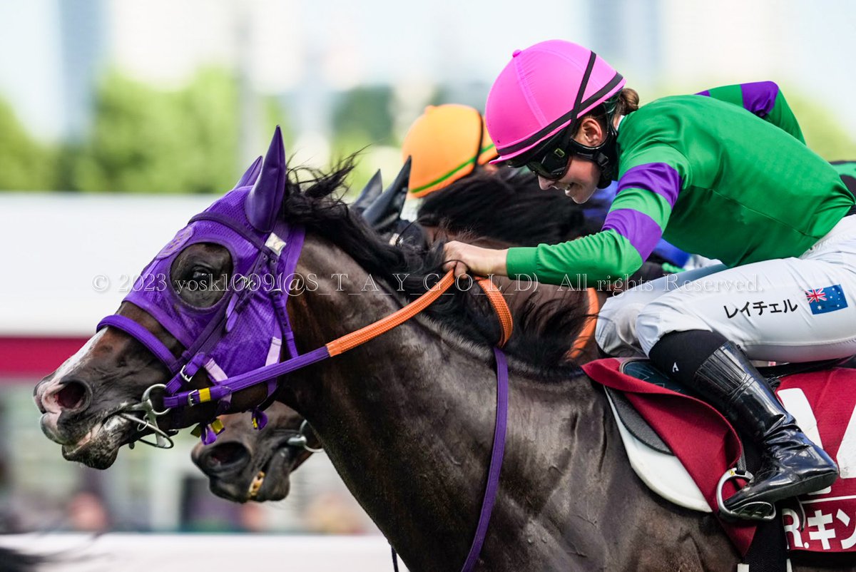 S_T_A_Y_G_O_L_D's tweet photo. 2023年8月26日
#WASJ第1戦
#WorldAllStarJockeys
優勝馬 #ドーバーホーク ( #DoverHawk )号
父 #ディーマジェスティ
母 #タカラジェニファ
騎手 #レイチェルキング ( #RachelKing ) @RachelK11
調教師 #清水英克厩舎
オーナー #嶋田賢 さま
生産者 #大栄牧場 さま
#札幌競馬場
#SapporoRaceCourse https://t.co/8oXdK2c6cQ