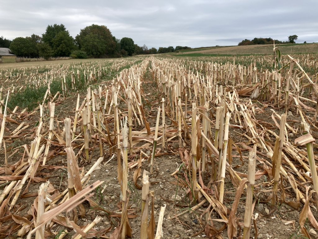 Emmanuel BONNIN tweet media