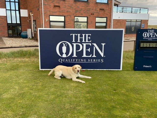 Princes Golf Club tweet media