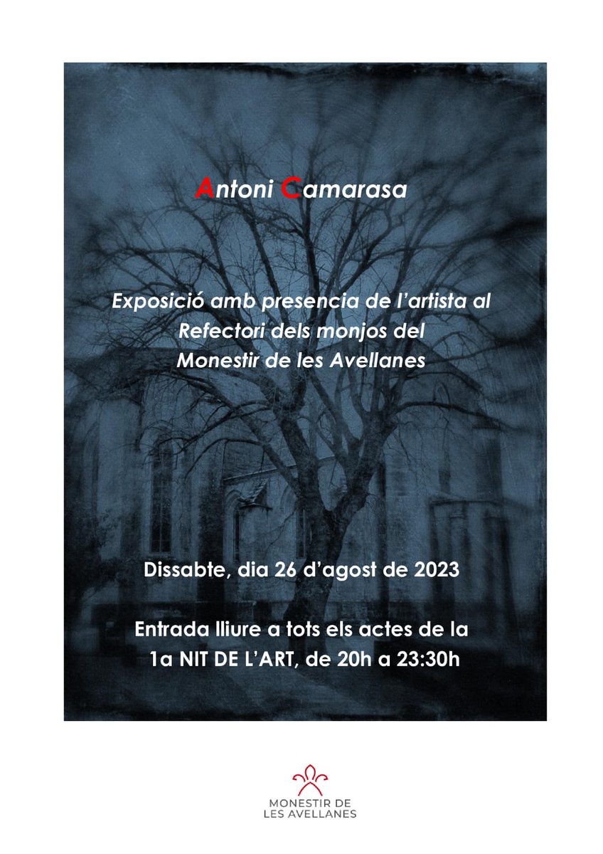 Toni Camarasa tweet media