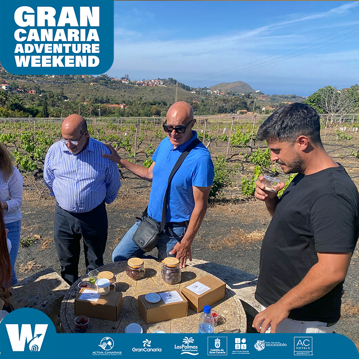 #GCAW2023 | Las rutas vinícolas pueden ser un enorme placer para los sentidos. En esta actividad podrás descubrir espacios icónicos del Monte Lentiscal 

Resérvala ya: ecoactivacanarias.com/producto/gcaw2…
