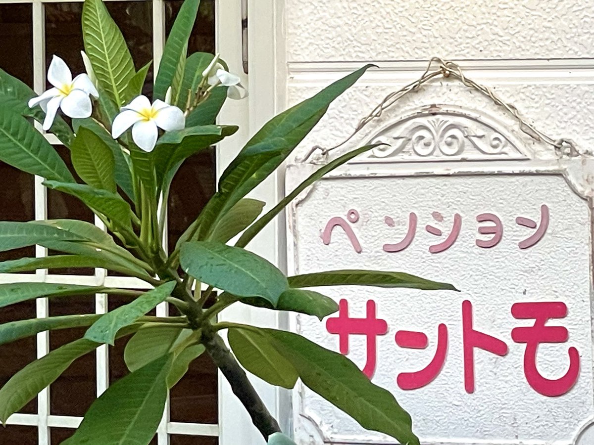 15santomo's tweet photo. 【休業のお知らせ】

8/27〜8/31
メンテナンスの為お休みします。
ご迷惑をお掛けしますが
宜しくお願いしますさ

#三宅島　#休業のおしらせ @15santomo https://t.co/Ze5do7s9j2